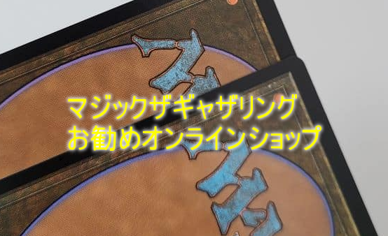 購入禁止 野放し 確認用 マジック様 