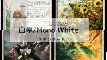 MTG　スタンダードデッキ　白単  2024/08/10更新