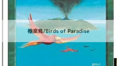 MTG 　  極楽鳥 深掘り